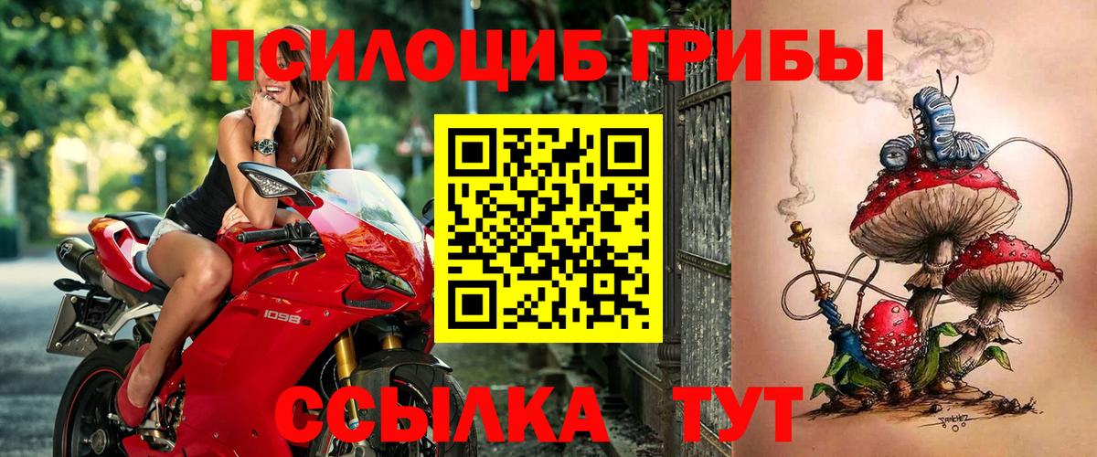 Галлюциногенные грибы MAGIC MUSHROOMS Апатиты